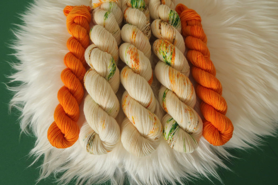 Pumpkin Patch - Sock Set - Smooth Sock