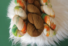 Load image into Gallery viewer, OOAK Brown - Polwarth DK
