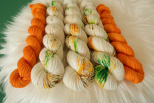 Load image into Gallery viewer, Pumpkin Patch - Sock Set - Silver Sparkle Sock
